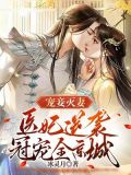 宠妻灭妾免费阅读全文