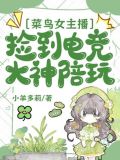 女主播和菜鸟玩游戏小说