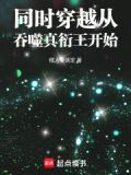 同时穿越从吞噬真衍王开始