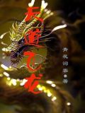 天道飞龙