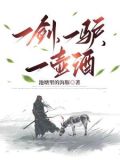 一剑，一驴，一壶酒