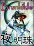 夜明珠是什么意思
