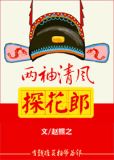 两袖清风探花郎