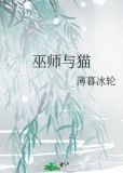 巫师与猫