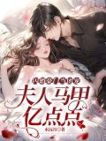 闪婚夫人超飒的全文免费阅读