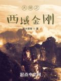 大明之西域金刚