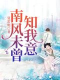 南风未曾知我意