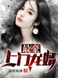 最豪上门龙婿