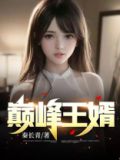 巅峰王婿