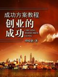 大智慧成功方案教程--创业的成功