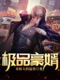极品豪婿