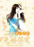 豪门婚色,二少请走开