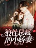 狼性总裁的独宠小甜妻