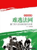 难逃法网：厦门特大走私案侦破与处理