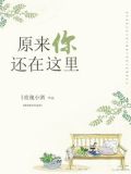 原来你还在这里