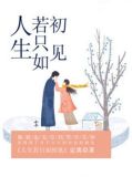 人生若只如初见,何事秋风悲画扇的意思纳兰性德
