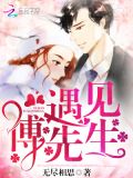 遇见,傅先生