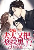 《陆少,夫人又把你拉黑了》