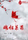 魂归莱茵txt