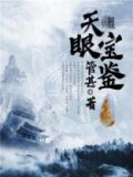 天眼宝鉴管甚免费阅读