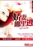 首席首席追妻套路深