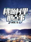 桃源村里那点事