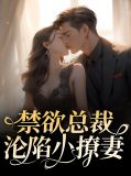 禁欲总裁宠上天 免费阅读