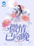 向晚微荒月小说