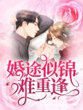 婚途似锦难重逢