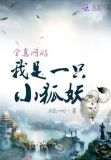 全息网游小说1v1