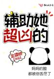 最凶辅助的小说