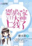 菜鸟vip怎么样