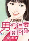天赐冤家全文免费