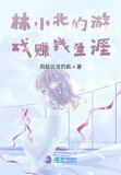 林小北游戏解说