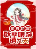 帝尊娇宠:妖孽娘亲镇九天