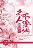 网游之夫人不要逃