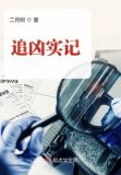 追凶实记