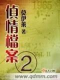 侦情档案二 TXT下载
