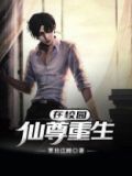 仙尊重生在校园