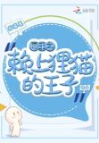 网王之赖上狸猫的王子
