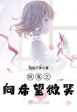 妖尾之幻想