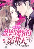 陈先生想结婚的第n天