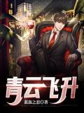 青云飞升