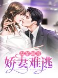 娇妻来袭,霸道总裁强势宠