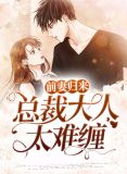 前妻归来:总裁大人太难缠