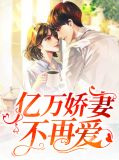 亿万娇妻不再爱小说