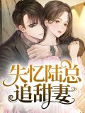 失忆总裁宠上天 小说