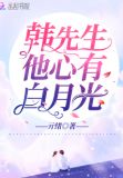韩先生他心有白月光
