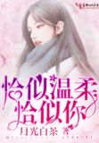 恰似温柔恰似伱