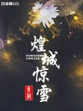 煌城惊雪